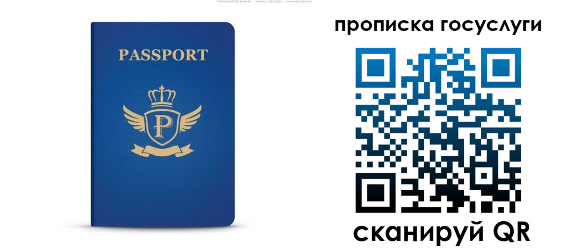 прописка для школы в Сочи